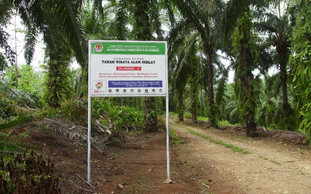 Indonesia Berambisi Mengurangi Emisi, Tetapi Hutan Bengkulu Kembali Ingin Dikurangi